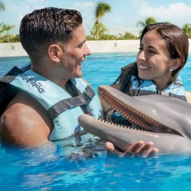 Dolphin Experience Punta Cana in Punta Cana